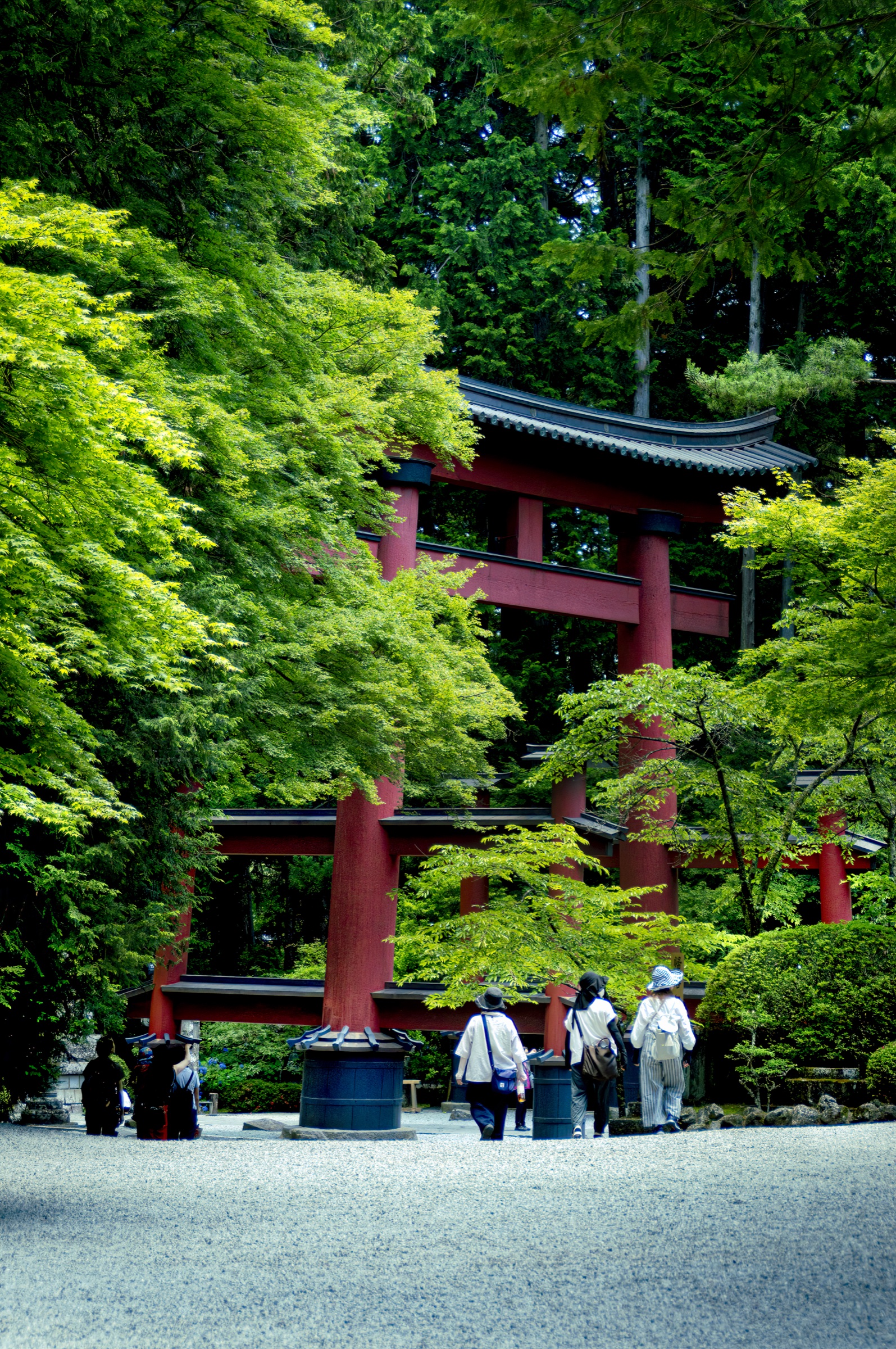 Gran torii rojo entre cedros del santuario Kitaguchi Hongu Fuji Sengen, con visitantes al pie, Fujiyoshida, Japón